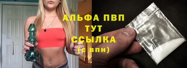 амф Кондопога