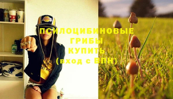 бошки Вяземский