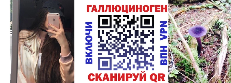 Псилоцибиновые грибы Psilocybe  blacksprut ССЫЛКА  Октябрьск  наркошоп 