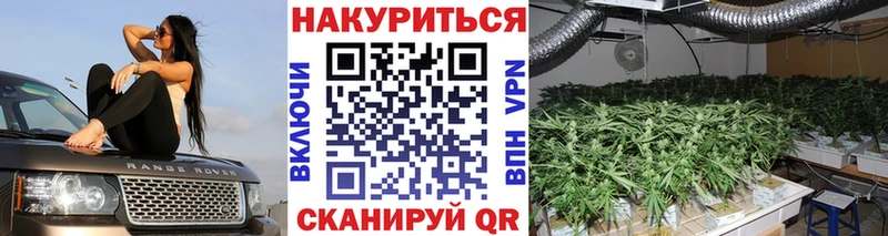 Шишки марихуана сатива  Октябрьск 
